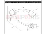 HARLEY-DAVIDSON STANDARD SIDECAR  - TLE HARNESS, BANK ANGLE SENSOR FOR 2009 & 2010 MOTORCYCLES