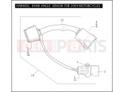 Harley-Davidson 2009 SIDECAR FLHR SIDECAR  - SIDECAR FOR FLHR HARNESS, BANK ANGLE SENSOR FOR 2009 MOTORCYCLES