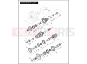 HARLEY-DAVIDSON CROSS BONES  - FLSTSB TRANSMISSION GEARS