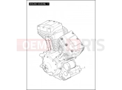 HARLEY-DAVIDSON CROSS BONES  - FLSTSB ENGINE ASSEMBLY - TWIN CAM 96â¢