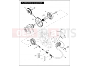 Harley-Davidson 2007 VRSC VRSCD NIGHT ROD  - VRSCD 105 ALTERNATOR & REGULATOR
