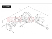 HARLEY-DAVIDSON CVO V-ROD  - VRSCSE2 OIL PUMP
