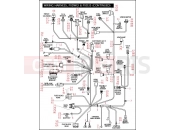 HARLEY-DAVIDSON DYNA SUPER GLIDE  - FXDI WIRING HARNESS, FXDWGI & FXD35 (CONTINUED)