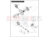 Harley-Davidson 2006 VRSC VRSCA V-ROD  - VRSCA ALTERNATOR & REGULATOR