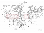 DUCATI Superbike 996 RS WIRING HARNESS » WIRING HARNESS