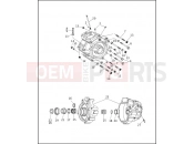 Harley-Davidson 1996 SOFTAIL SPRINGER SOFTAIL  - FXSTS CRANKCASE - 1995 (1 OF 2)