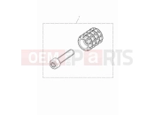 Triumph 2023 Speed Twin 900 Machined gear peg