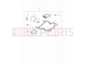 Triumph 2023 Speed Twin 900 Engine service kit