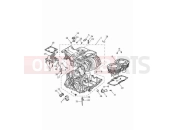 Triumph 2023 Speed Twin 900 Crankcase & fittings