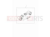 Triumph 2023 Speed Twin 900 LED indicators, D40