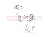 TRIUMPH Street Triple R Starter & Alternator