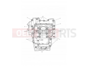 TRIUMPH Street Triple R Crankcase Bolts