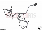 BMW Motorrad BMW 2020 R models R 1250 GS 19 (0J94) Engine wiring harness | Engine wiring harness