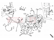 DUCATI Monster 600 WIRING HARNESS » WIRING HARNESS