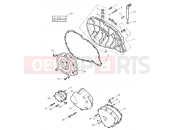 Triumph 2015 SCRAMBLER EFI Engine Covers
