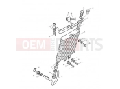 Triumph 2016 SCRAMBLER EFI Oil Cooler