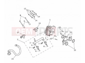 TRIUMPH STREET SCRAMBLER Throttle Bodies