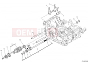 DUCATI Panigale V4 R Shift cam & fork