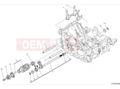 DUCATI Diavel V4 Shift cam & fork