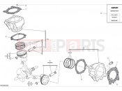 DUCATI 2024 Monster Plus Cylinders & pistons