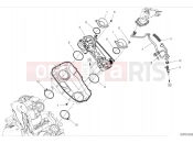 DUCATI 2024 Monster Plus Throttle body