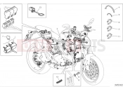 DUCATI 2024 Monster Plus Vehicle electric system
