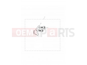 Triumph 2010 THUNDERBIRD Restrictor Kit, 25KW