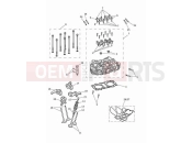 Triumph 2024 Speed Twin 900 Cylinder head & valves