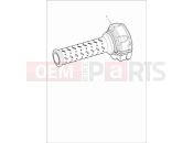 Triumph 2024 Speed Twin 900 35 kW restrictor kit