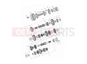TRIUMPH THUNDERBIRD LT Transmission