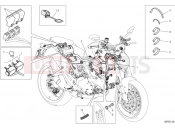 DUCATI 2022 Monster Vehicle Electric System