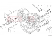 DUCATI 2022 Monster Shift Cam & Forks