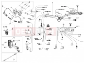 MOTOGUZZI V85 TT E5+ (EU) Front electrical system