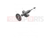 TRIUMPH Scrambler 400 X balancer