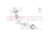 DUCATI Scrambler 1100 Special CYLINDERS - PISTONS