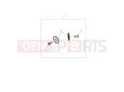 Triumph 2023 Speed Twin 1200 Bar End Finisher Pair