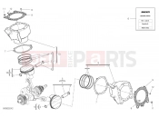 DUCATI Multistrada 1260 S Touring CYLINDERS & PISTONS