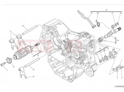 DUCATI Monster SP Shift cam & fork