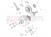 Cranckshaft - Motoguzzi Stelvio E5+ (EU) 2024