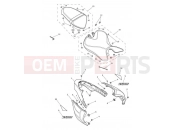 TRIUMPH Speed Triple RS Rear Bodywork & Seat