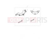 Triumph 2024 Thruxton RS Engine Protector Kit