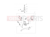 Triumph 2024 Thruxton RS Front Brake Master Cylinder & Hoses