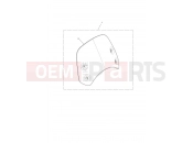 Triumph 2024 Thruxton RS Screen, Short