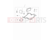 Triumph 2023 Scrambler 1200 XC Engine service kit