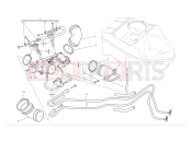 DUCATI Hypermotard 1100 S Intake manifolds