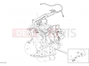 DUCATI Multistrada V4S Travel Radar Wiring Harness (Coil)