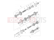 TRIUMPH Daytona 660 Transmission