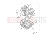 TRIUMPH Daytona 660 Crankcase & Fittings