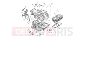 Triumph 2024 Speed Twin 1200 Crankcase & Fittings