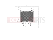 TRIUMPH SPEED TRIPLE S 735438 > Radiator Guard Kit